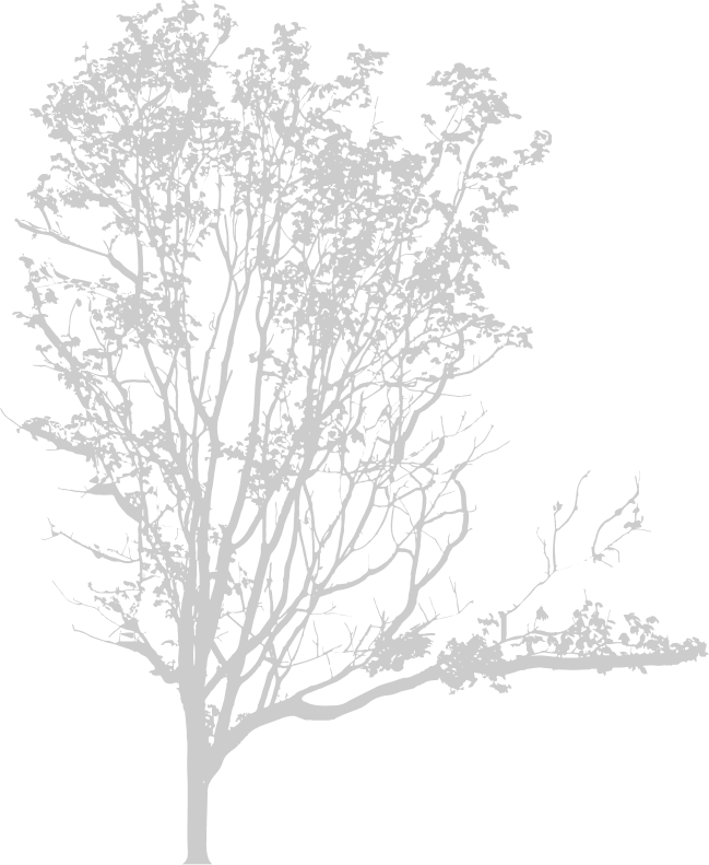 Simaj Patent | Anasayfa